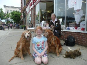 therapy dog nteracting with the public