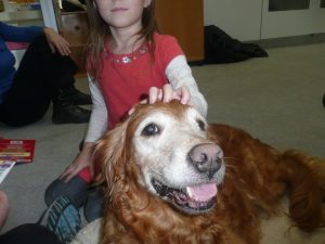 Therapy Dogs OPL Dogread