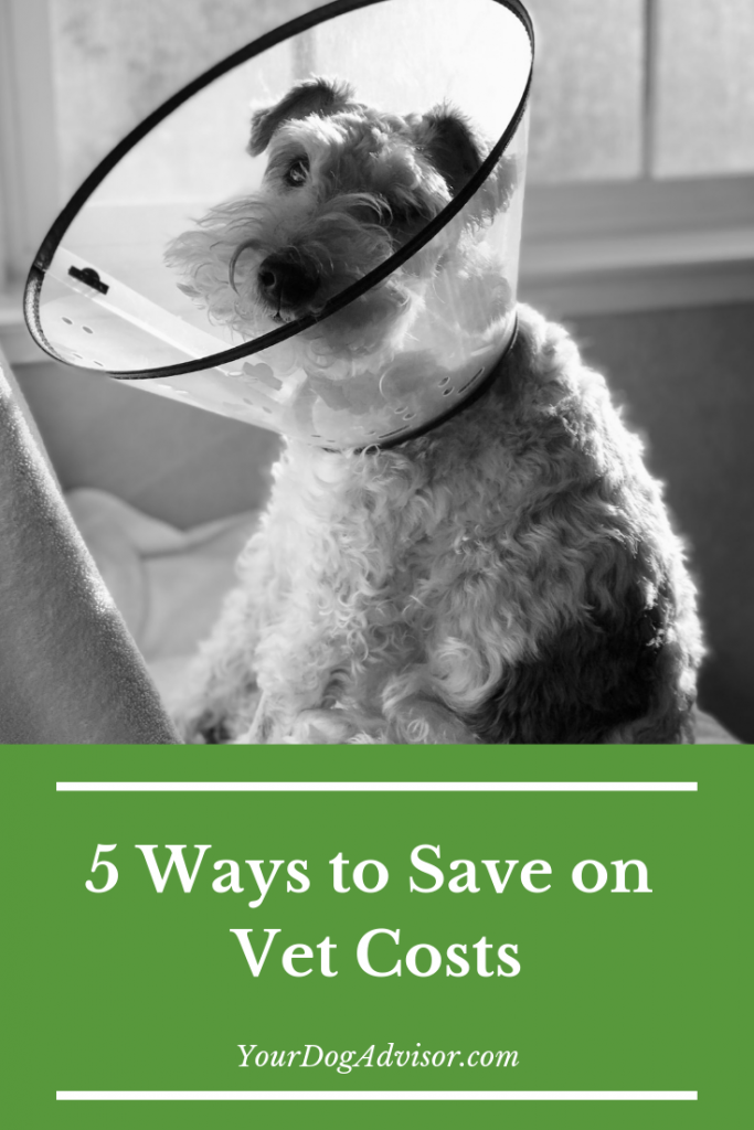 5 ways to save vet costs
