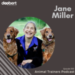 Jane Interview by Doober